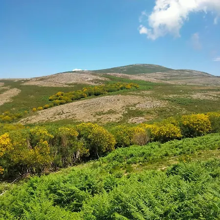 Dans L'atelier Unidade Porta Nova *
