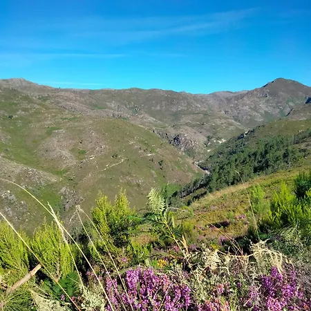 Dans L'atelier Unidade Porta Nova Braga